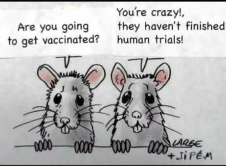Lässt du dich impfen?
